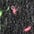 swatch-option-image