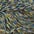 swatch-option-image