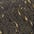 swatch-option-image