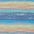 swatch-option-image