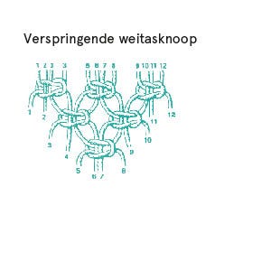 verspringende weitasknoop